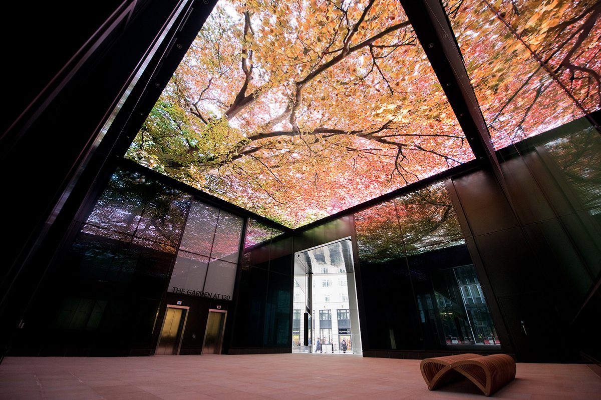 Ceiling LED Screen