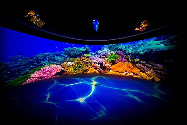 XR LED display